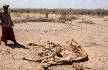 Brutal e inédita sequía de Somalia: 1 millón de desplazados y 7 millones al borde de la hambruna