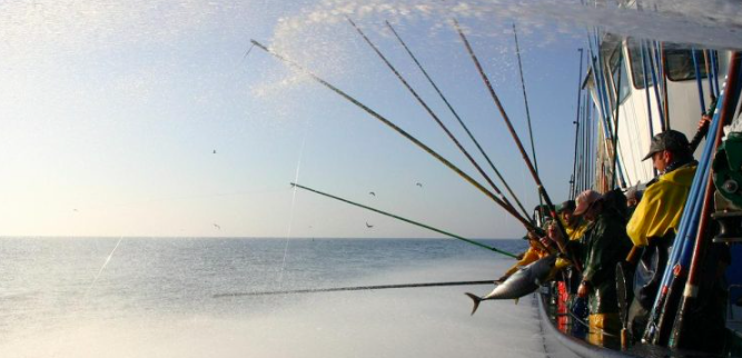 “En 2030 un tercio de las pesquerías deben certificar la captura sostenible”