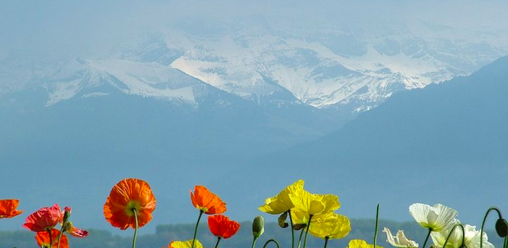 Suiza aprobó en referéndum ley climática y un impuesto corporativo mínimo global
